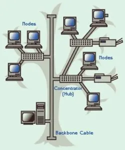 Tree Topology