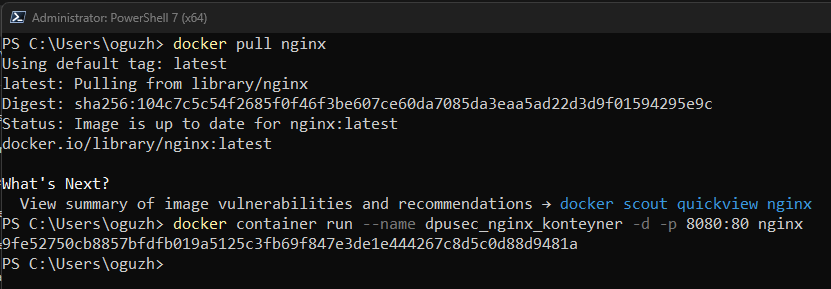 nginx1